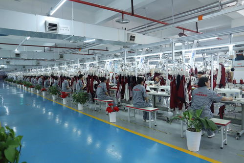 区领导莅临重庆立泰服饰集团调研考察 共话发展新机遇，擘画产业新蓝图